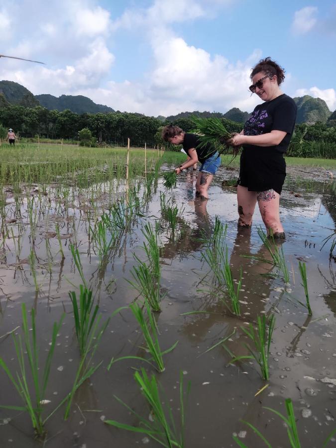 Tam Coc Lotus Flower Homestay Ninh Bình Extérieur photo