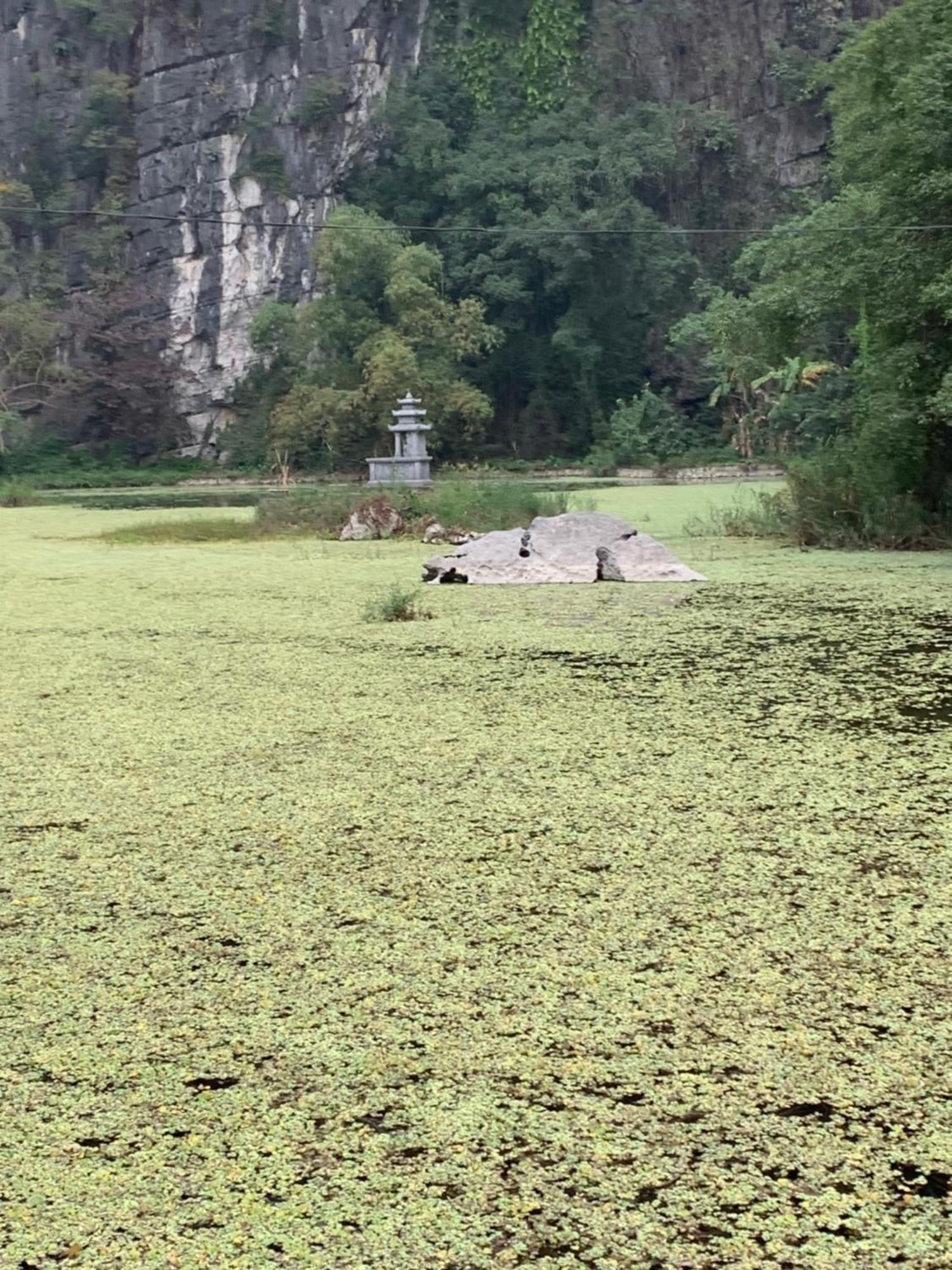 Tam Coc Lotus Flower Homestay Ninh Bình Extérieur photo