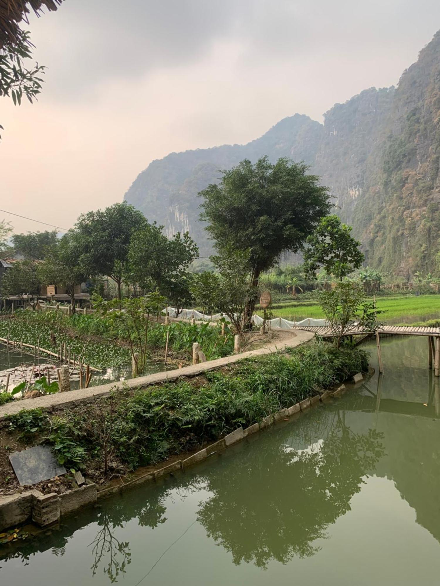 Tam Coc Lotus Flower Homestay Ninh Bình Extérieur photo