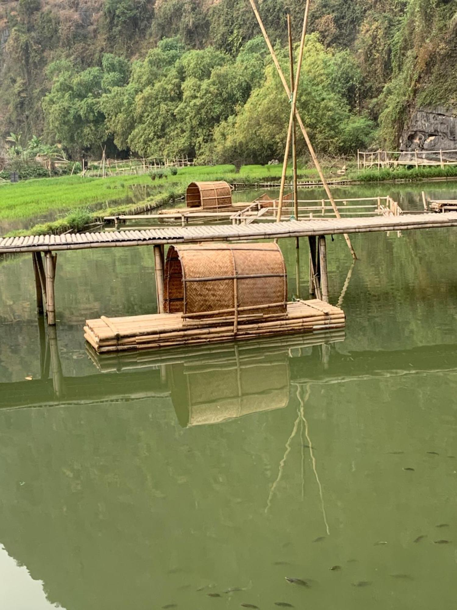 Tam Coc Lotus Flower Homestay Ninh Bình Extérieur photo